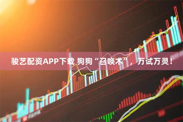 骏艺配资APP下载 狗狗“召唤术”，万试万灵！