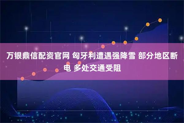 万银鼎信配资官网 匈牙利遭遇强降雪 部分地区断电 多处交通受阻