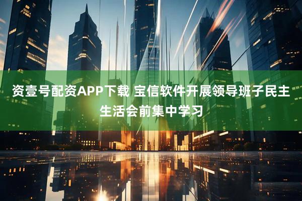 资壹号配资APP下载 宝信软件开展领导班子民主生活会前集中学习
