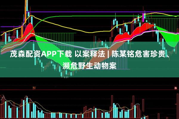 茂森配资APP下载 以案释法 | 陈某铭危害珍贵、濒危野生动物案